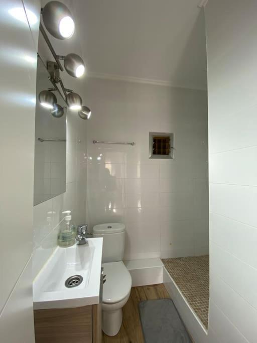 Vlc Center 4 Room Apartment فالنسيا المظهر الخارجي الصورة